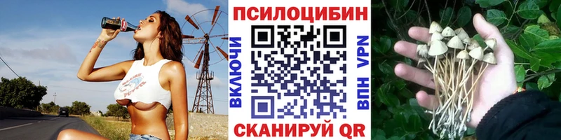 хочу   Гусь-Хрустальный  Галлюциногенные грибы Cubensis 