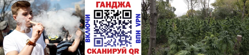 купить наркотики сайты Гусь-Хрустальный Бошки марихуана планчик